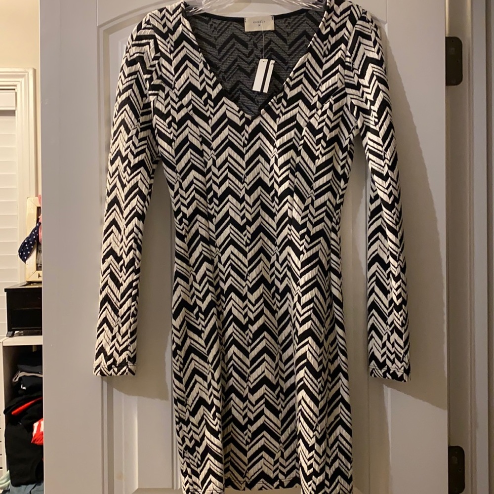 Black and white long sleeve dress; stretchy material;  never been worn